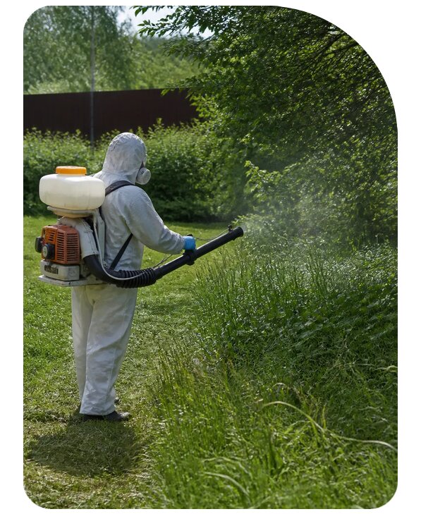 Уничтожение клещей на участке в Скопине по цене от 5211 р. | Сенат-Скп